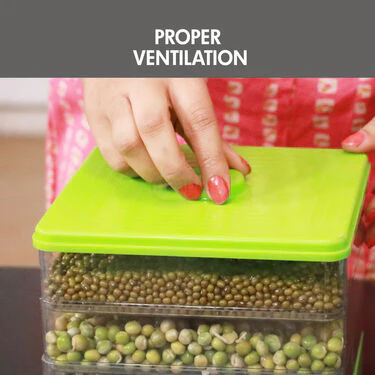 4 Compartment Easy Sprout Maker (4CSM3) - Image 3