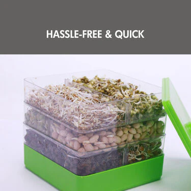 4 Compartment Easy Sprout Maker (4CSM3) - Image 4
