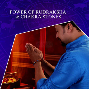 7 Chakra Rudraksh Bracelet  (7CB2) - Image 5