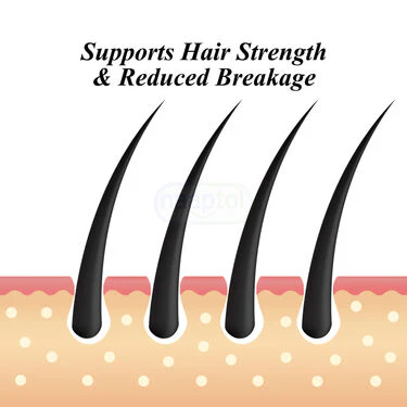 Ayurvedic Oil Shampoo & Conditioner For Hair Strength & Volume For Men (FHFTM) - Image 3