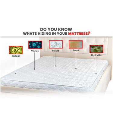 Double Mattress Protector Sheet with 2 Pillow Protector Free (DMP4) - Image 2