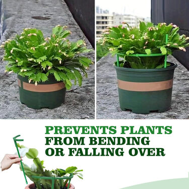 Flower Pot Plant Support Stakes (FPSS) - Image 4
