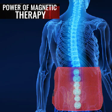 Magnetic Back Support Belt with Pain Relief Spray (PRS65) - Image 4