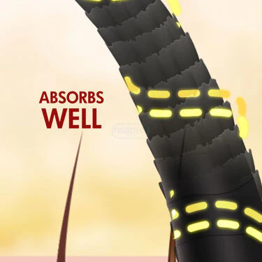 Scalp Oil Applier (OA) - Image 5