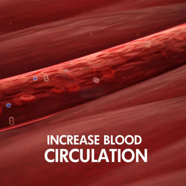 Scalp Oil Applier (OA) - Image 6